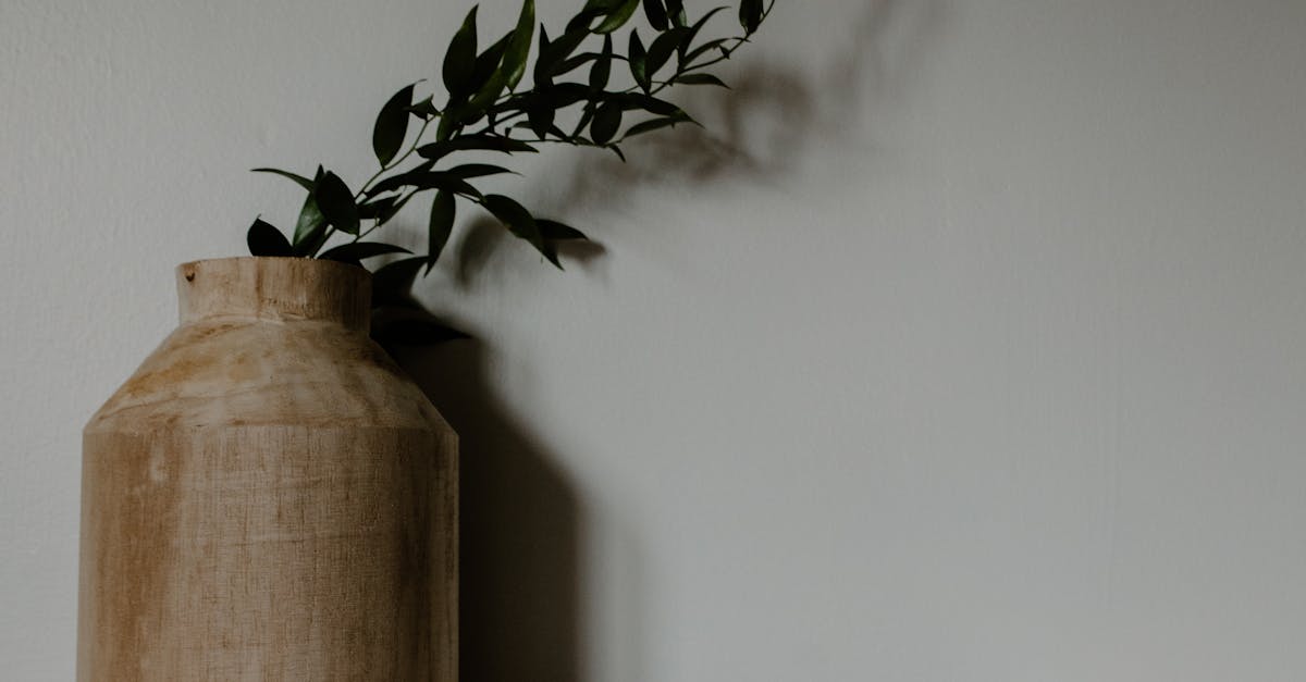 Why Minimalism is the Key to a More Organised Life